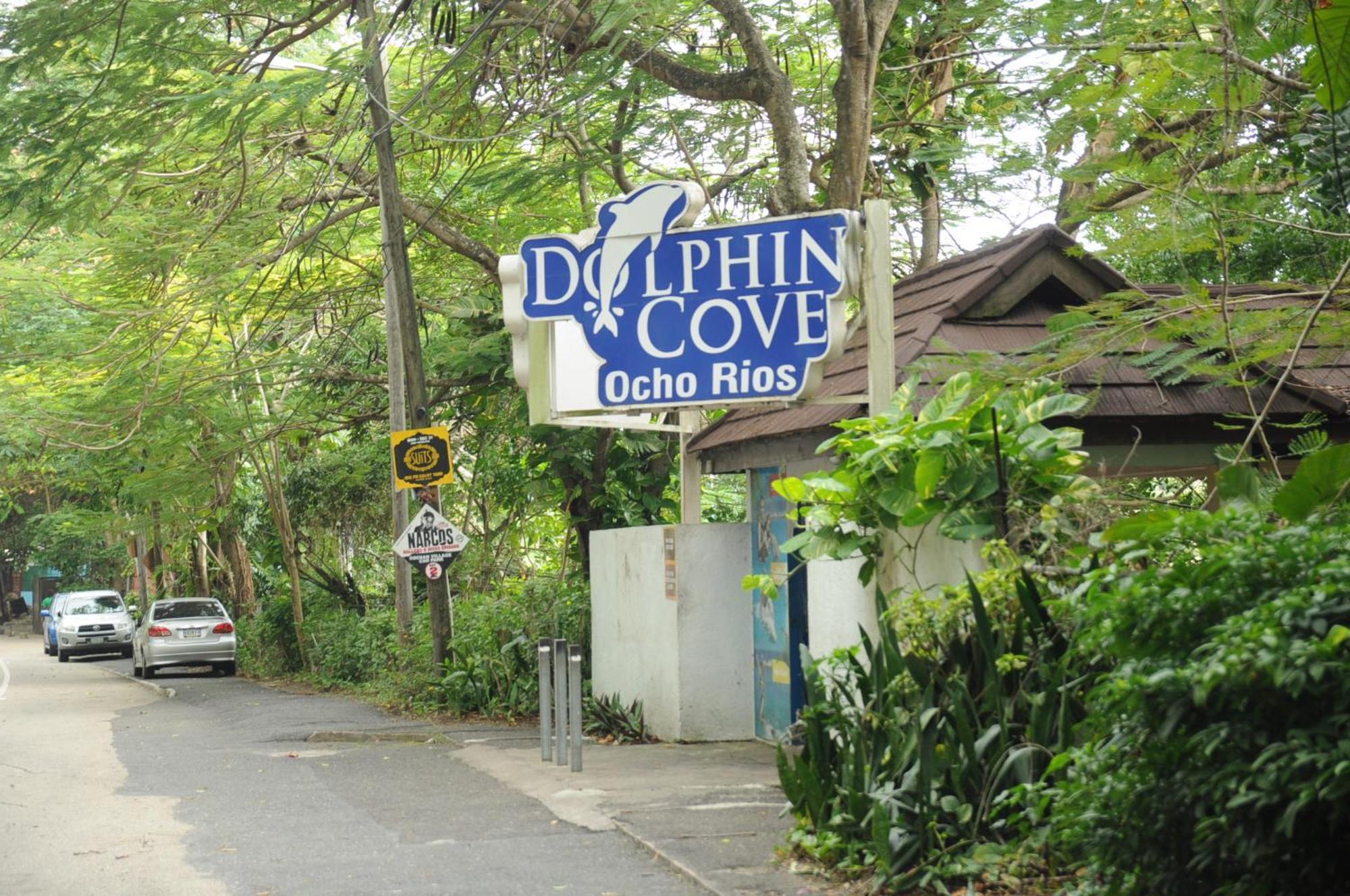 Aileen Palm Cove Ja Ocho Rios Eksteriør billede