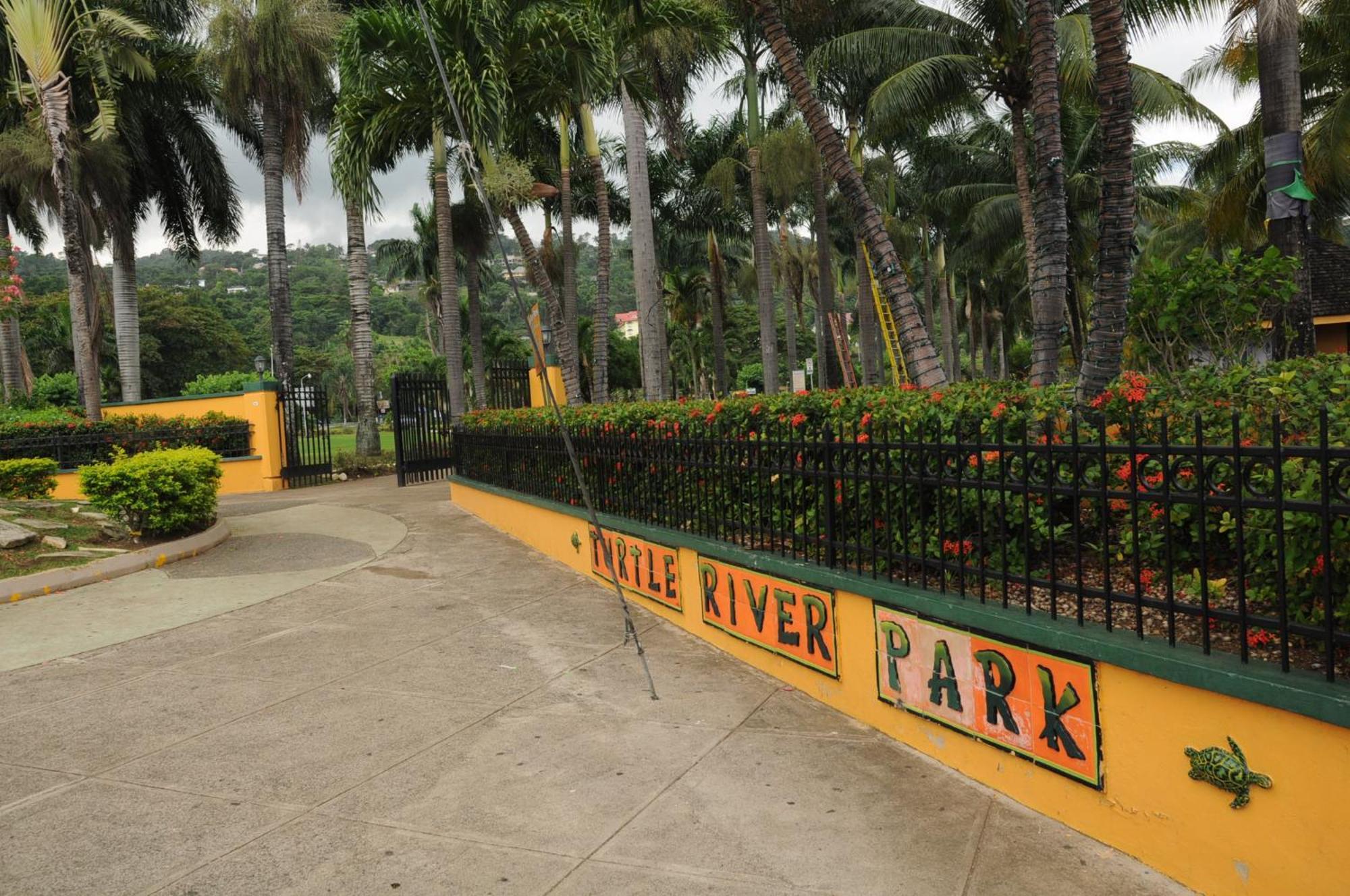 Aileen Palm Cove Ja Ocho Rios Eksteriør billede